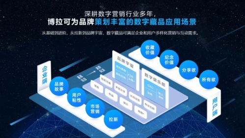 四川省委网信办调研博拉网络，鼓励以元宇宙技术赋能企业数字化转型